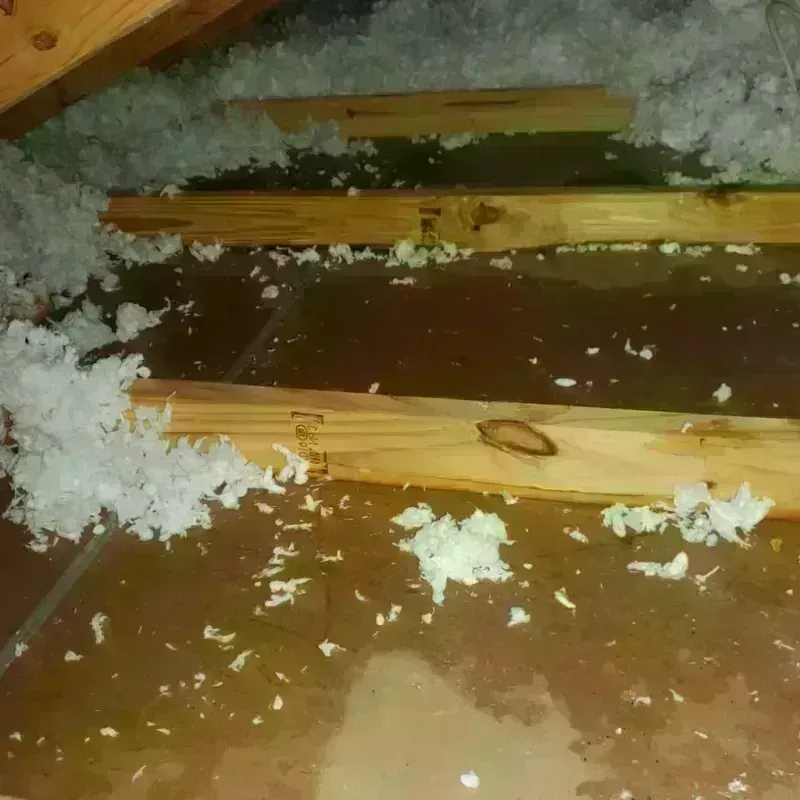 Attic Water Damage in Satanta, KS